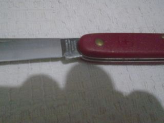 Εμβολιαστήρι Victorinox-thumb-3
