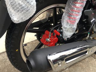 Daytona Nova 2026 CBS-EFI-thumb-14