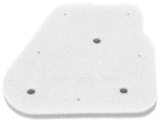 Φίλτρο αέρος CHAMPION CAF3001DS HFA4001 NEOS50 AXIS50
