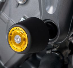 ΔΙΑΚΟΣΜΗΤΙΚΑ ΚΑΠΑΚΙΑ ΓΙΑ ΜΑΝΙΤΑΡΙΑ BARRACUDA GOLD