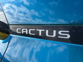 Citroen C4 Cactus 2020 ΓΡΑΜΜΑΤΙΑΑΑΑΑ ΜΕ ΔΟΣΕΙΣ ΧΩΡΙΣ ΤΡΑΠΕΖΕΣ-thumb-17