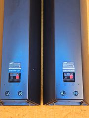 Ηχεία τοίχου. Samsung PS-RBD2 Surround Speaker System.-thumb-11
