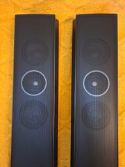 Ηχεία τοίχου. Samsung PS-RBD2 Surround Speaker System.-thumb-12