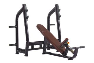 Luxury Incline Bench H-025 (VIKING)