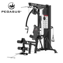 Πολυόργανο Pegasus® HG8 (308878800)