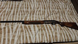 BENELLI SL 80 PASION