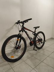 All - Mountain Ideal 2019 pro rider