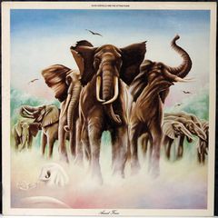 ELVIS COSTELLO & THE ATTRACTIONS - ARMED FORCES