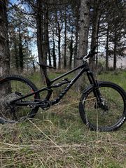 Downhill - Enduro - Trail Canyon 2024