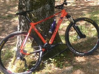 Downhill - Enduro - Trail Megamo 2013