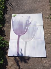 Ισπανία. Αποκλειστικό. Διακοσμητικό πλακάκια.