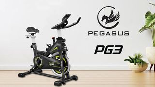 Pegasus® Spin Bike "PG3" (391167870)-thumb-7