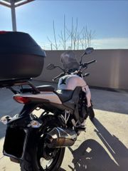 Sym Wolf SB 250 Ni 2014-thumb-9