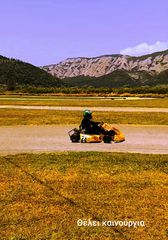 On-Road Birel ART 2000 Vortex VR