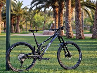 Downhill - Enduro - Trail Pedroni 2025 Pedroni race Mate