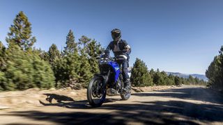 Yamaha XTZ700 Tenere EU5+ 2026 ΠΡΟΣΦΟΡΑ !!! ΕΤΟΙΜΟΠΑΡΑΔΟΤΗ!  ΔΩΡΕΑΝ 3ος  ΧΡΟΝΟΣ ΕΓΓΥΗΣΗΣ!-thumb-8