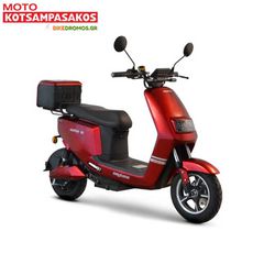 Daytona Elektra 50 2026-thumb-1