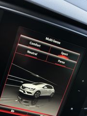 Renault Megane 2016 4CONTROL - ΕΚΔΟΣΗ GT 210PS SPORT ΑΥΤΟΜΑΤΟ - FULL EXTRA-thumb-30