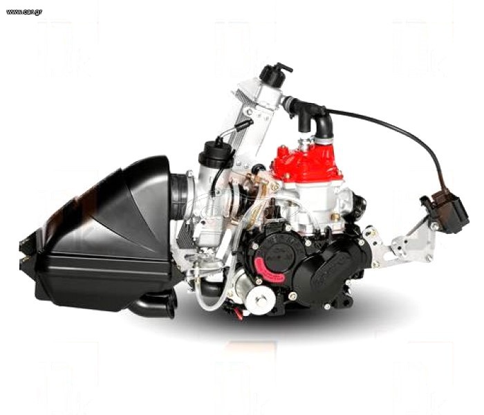 On-Road Rotax 2024 EVO JUNIOR
