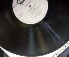 JOHN CALE - THE ACADEMY IN PERIL-thumb-6
