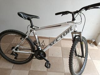 All - Mountain Sector 2013