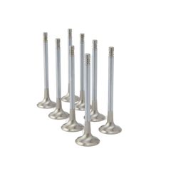 Audi / VW 1.4L TFSI (EA211) ZRP Std Exhaust Inconel Valves