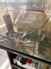ενυδρείο 60×45