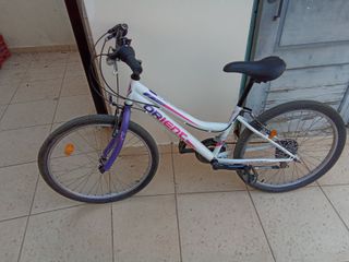 All - Mountain Orient 2023