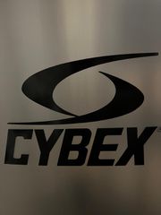 cybex eagle-thumb-5