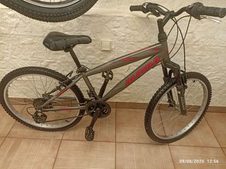 All - Mountain Alpina 2021 MOUNTAIN