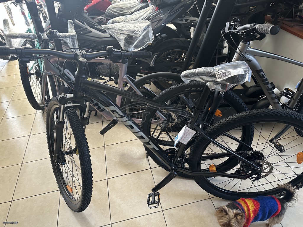 All - Mountain Giant 2026 Talon 4