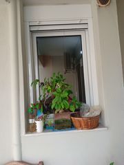 Προφίλ