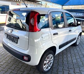 Fiat Panda 2019 CNG NATURAL POWER-thumb-3