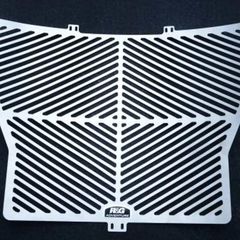 R Racing Stainless Steel Radiator Guard - Bmw S1000R