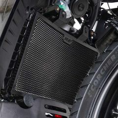 R Racing Radiator Guard Black - Harley-Davidson