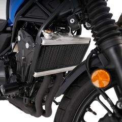R Racing Pro Radiator Guard