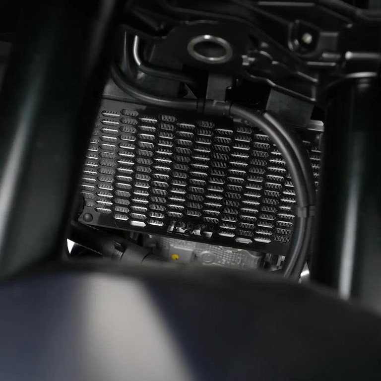 R Racing Pro Radiator Guard