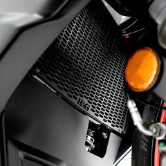 R Racing Pro Radiator Guard