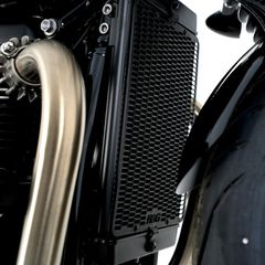 R Racing Pro Radiator Guard