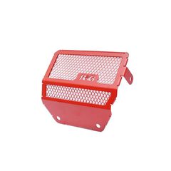R Racing Front Cylinder Head Guard - Ducati Monster 950
