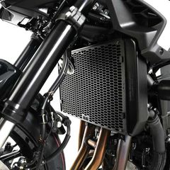 R Racing Pro Radiator Guards-thumb-2