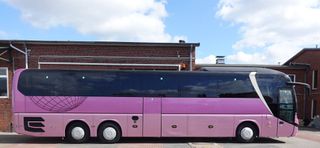 MAN 2019 R08 Lion´s Coach *61-Sitze*Tourismo*Travego*R09*-thumb-4