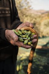 Εξαιρετικό Παρθένο Βιολογικό Ελαιόλαδο Κρήτης – Παραγωγού