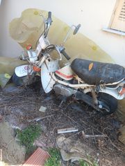 Yamaha Chappy LB 50 1983-thumb-3