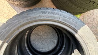 1954516 WINDFORCE CATCHFORS A/S  WINDFORSE (2)-thumb-2