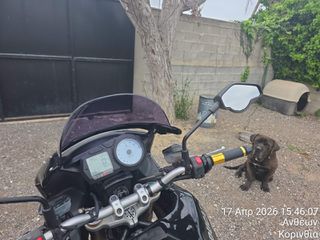 Ducati Multistrada 1000 DS 2006-thumb-10