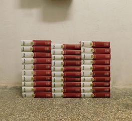 Εγκυκλοπαίδεια ΔΟΜΗ, 30 τόμοι.