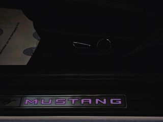 Ford Mustang 2019-thumb-30