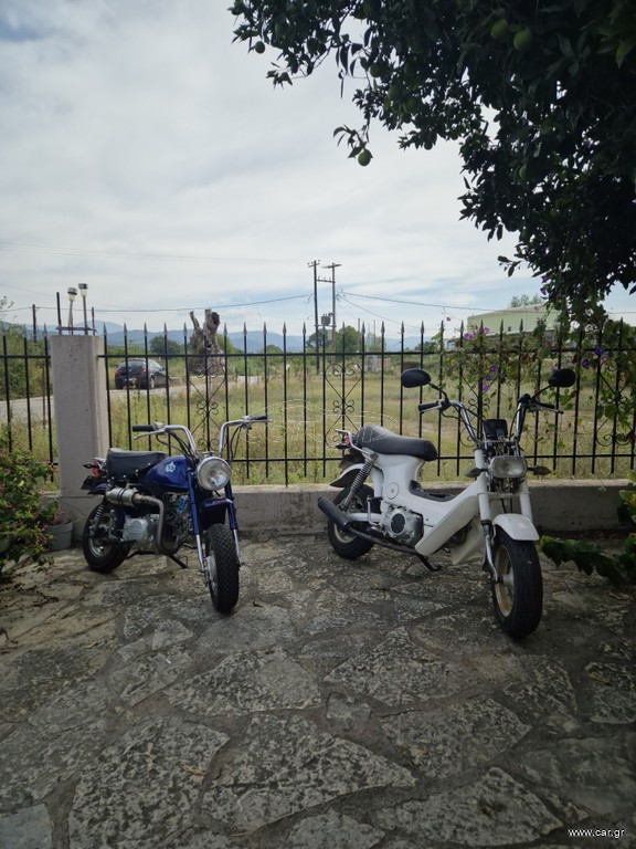 Honda CF 50 1978 chally