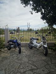 Honda CF 50 1978 chally